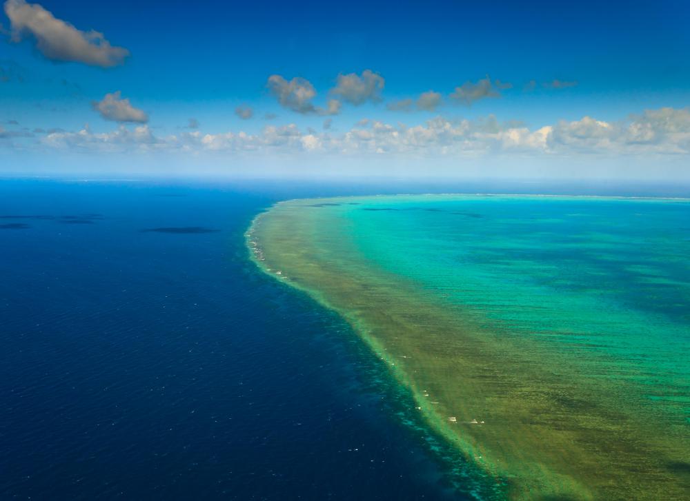 Australia's Great Barrier Reef is the largest coral reef system in the world.