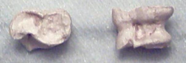 Bones of animals were originally shaped for use as knucklebones.