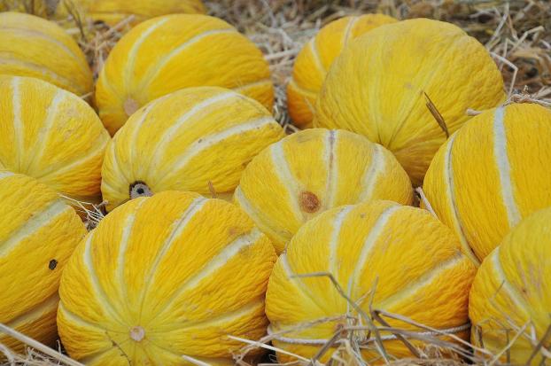 Casaba melons have thick, bright yellow rinds.