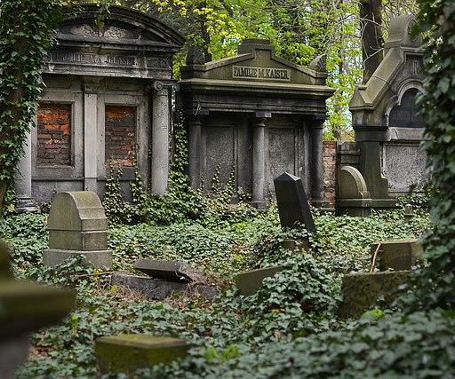 In 2019, Washington became the first U.S. state to allow the composting of human remains, as a greener alternative to conventional burial or cremation.