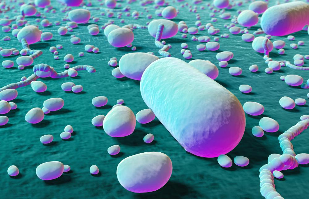 pin-on-bacteria-shapes