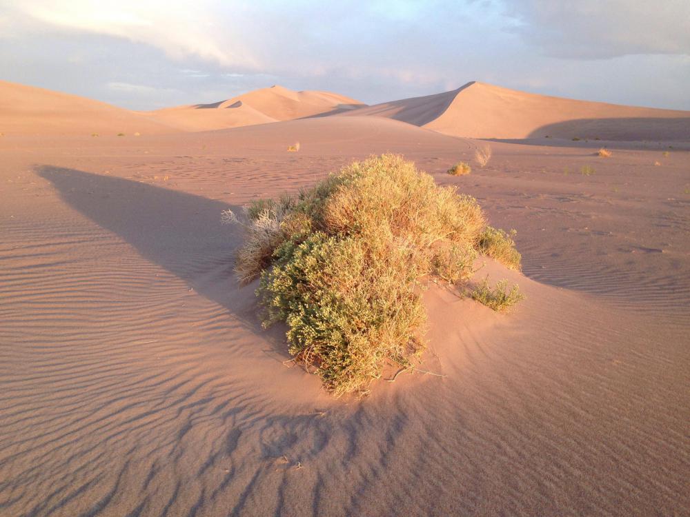 Though deserts are dry, they are not as dry as places in Antarctica.