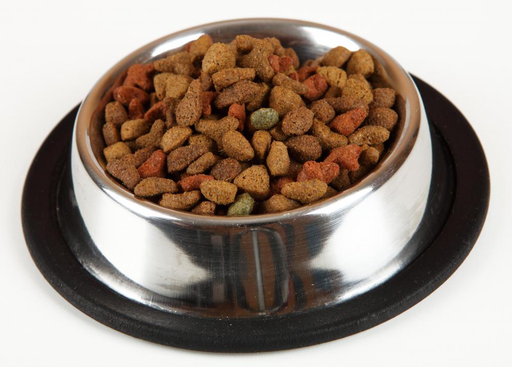 What Is Dry Dog Food with Pictures 
