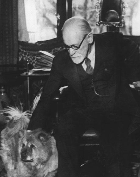 Sigmund Freud's pet Chow Chow, Jofi, attended therapy sessions and could “sense” patients’ emotional states.