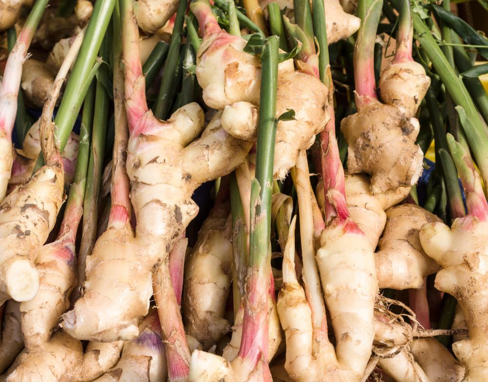 what-are-the-health-promoting-properties-of-ginger