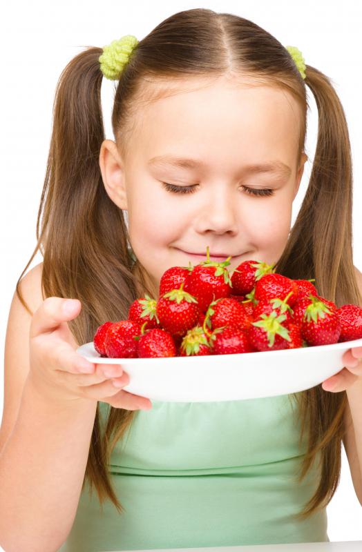 The forebrain controls many functions, including smelling.