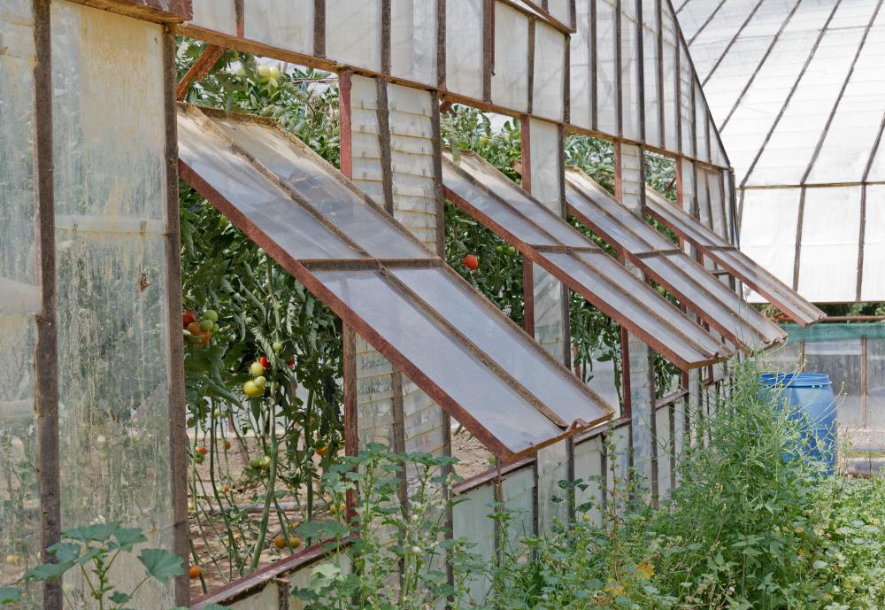 A greenhouse may benefit from a misting fan.