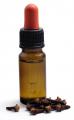 Clove oil anesthetizes the fish.