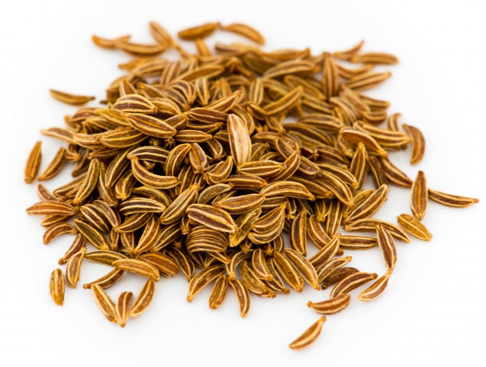 Cumin Definition Bible At Dora Snoddy Blog Cumin Definition Bible At Dora Snoddy Blog