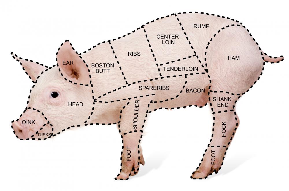 Pork Parts Diagram