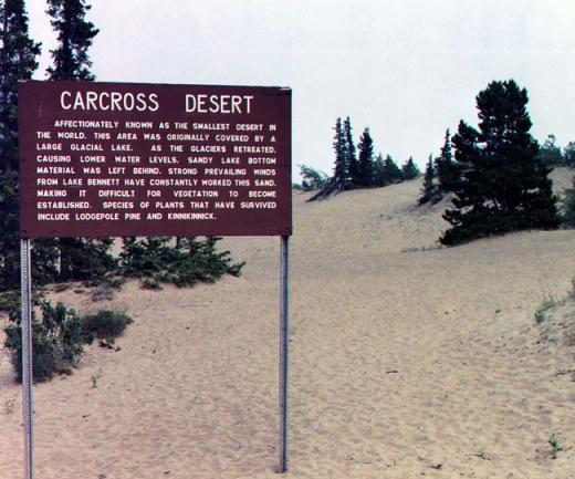 Though not technically a desert because it receives slightly too much rain, the Carcross Desert in Canada's Yukon measures just 1 square mile (2.6 sq km).