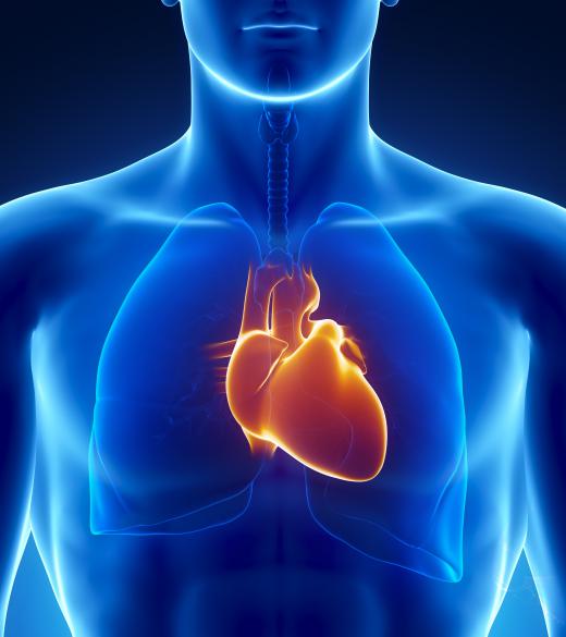 Insufficient folic acid may be linked to a greater risk of heart defects.