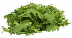 Arugula leaves are often included in pancetta salad.