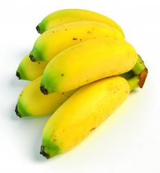 Baby bananas