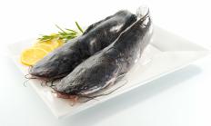 Basa Fish.