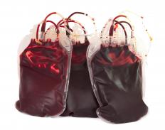 Blood from volunteers at a blood drive.