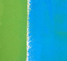 Blues and greens are considered to be some of the most relaxing colors. 
