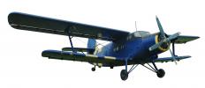 A model biplane