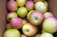 Box of Fuji apples