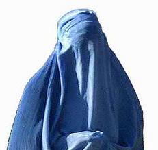 A woman in a burka.
