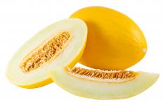 Canary melons.
