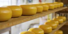 Cheese wheels with a rind aging on shelves