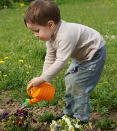 A boy watering flowers in a garden.
