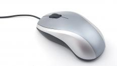 A mouse.