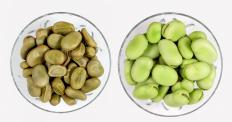 Fava beans are high in tyramine.
