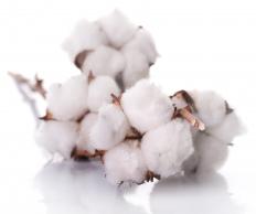 Cotton, which is commonly used to make organic kids' bedding.