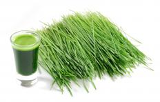 Wheatgrass may lower FSH.