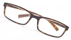 Glasses with plastic frames