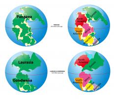 A diagram of Pangaea.