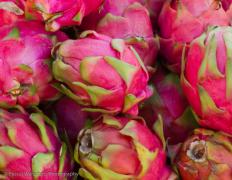 Dragon fruits