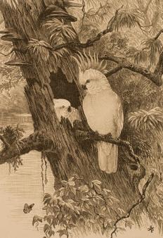 A lithograph.