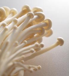 Enoki mushrooms are commonly used in soups, like miso.