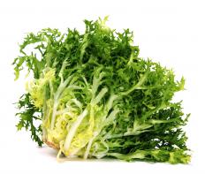 Escarole, a type of endive.