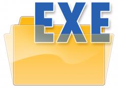 EXE or executable file