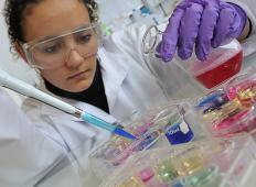 A medical research scientist works in a laboratory.
