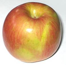 Fuji apple