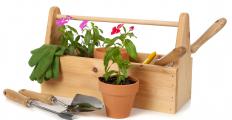 Gardening tools and potted ornamental plants.