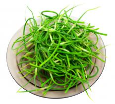 Garlic scapes. 