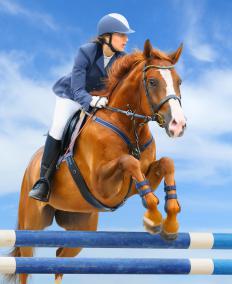 Jodhpurs are worn during horse jumping.