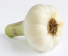 Fresh garlic