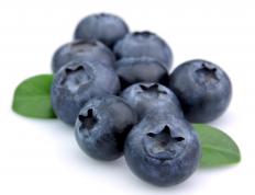 Blueberries before drying