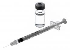 Vaccination can help prevent kennel cough.