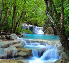 A national park.