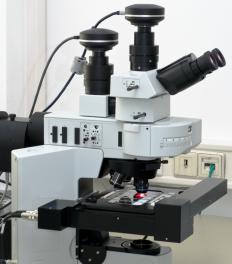 A compound microscope.