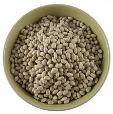 Navy beans.