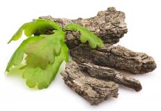 Oak bark can dehydrate and irritate snails.